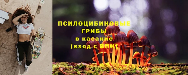 2c-b Инта